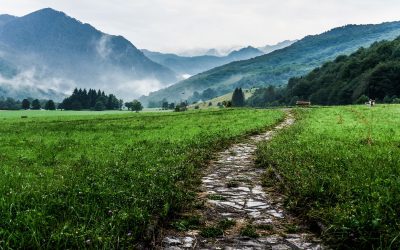 The 7 Habits of Highly Effective Clients in Divorce